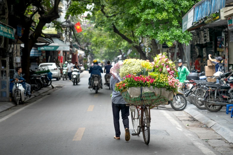 a person carrying flowers in a small cart