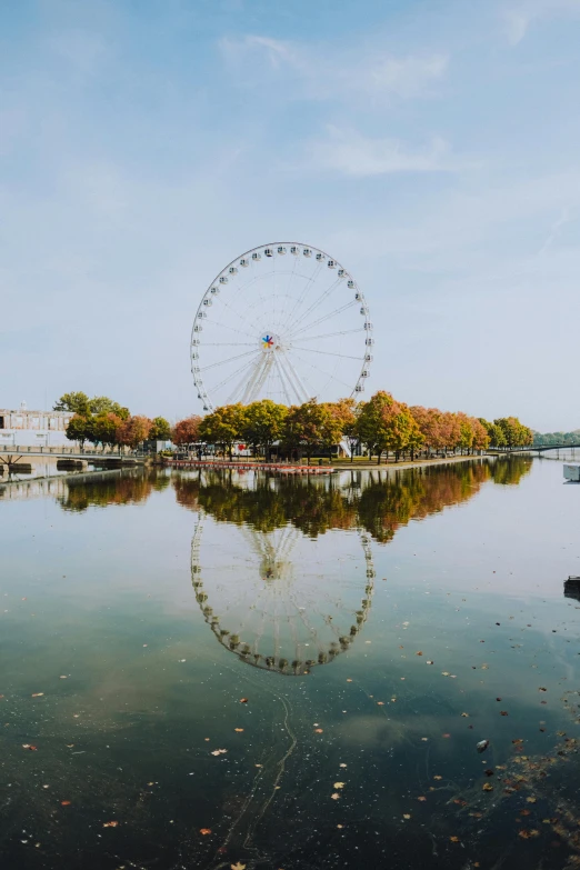 a ferris wheel reflecting on the surface of water