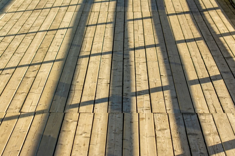 a person on a bench casts a shadow on the ground