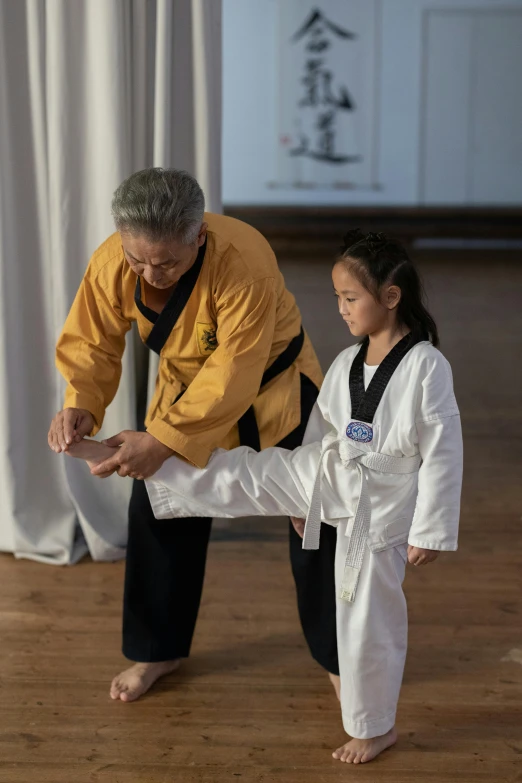 an older man and  demonstrating karate moves