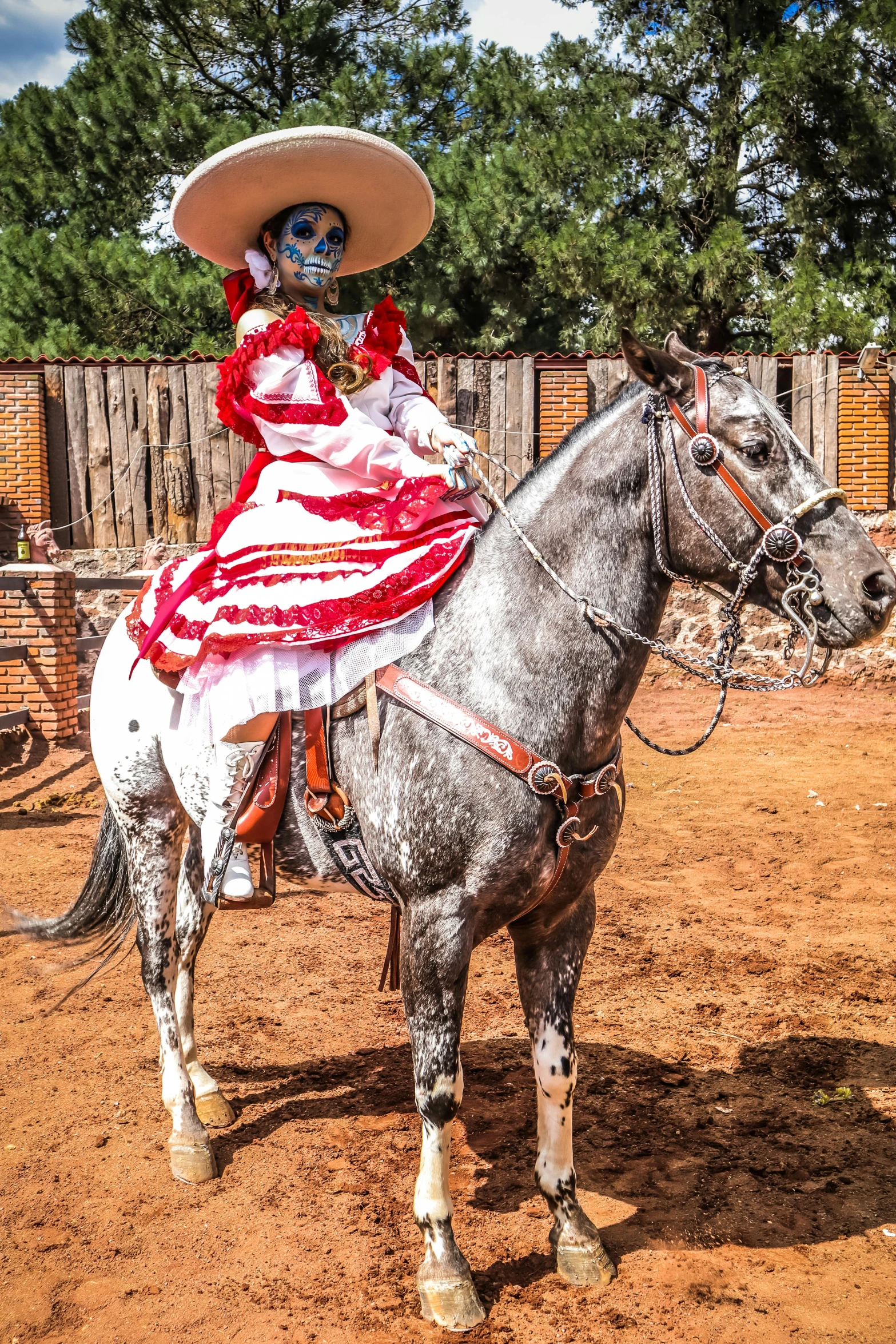 mexican costumed girl riding on a gray horse