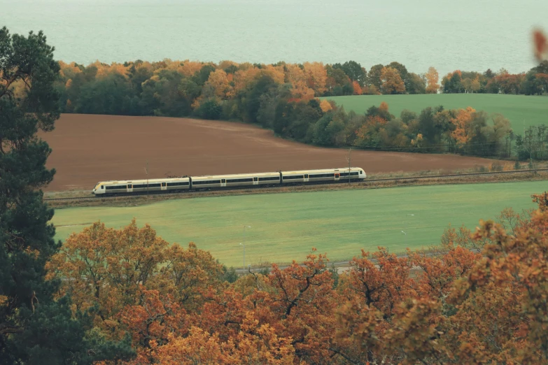 a passenger train traveling on the tracks through a lush green forest