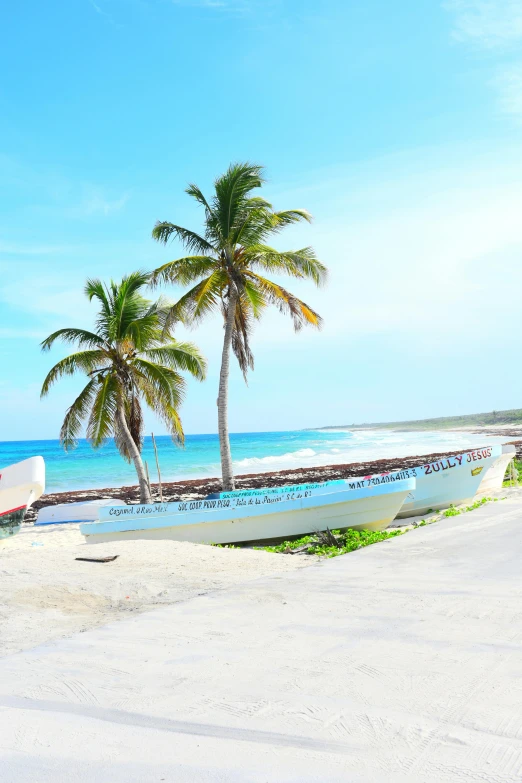 two boats and palm trees on a white sand beach