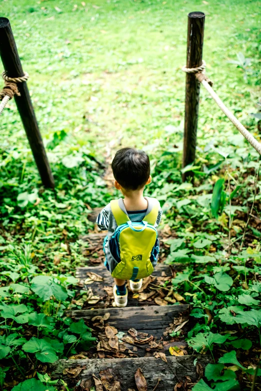 a little boy with a toy is on a bridge