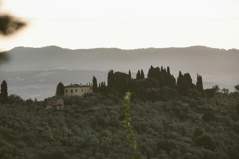 a castle sitting on top of a hill