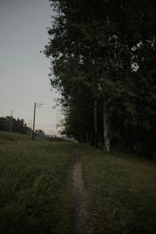 an abandoned path winds through the woods to an electric pole