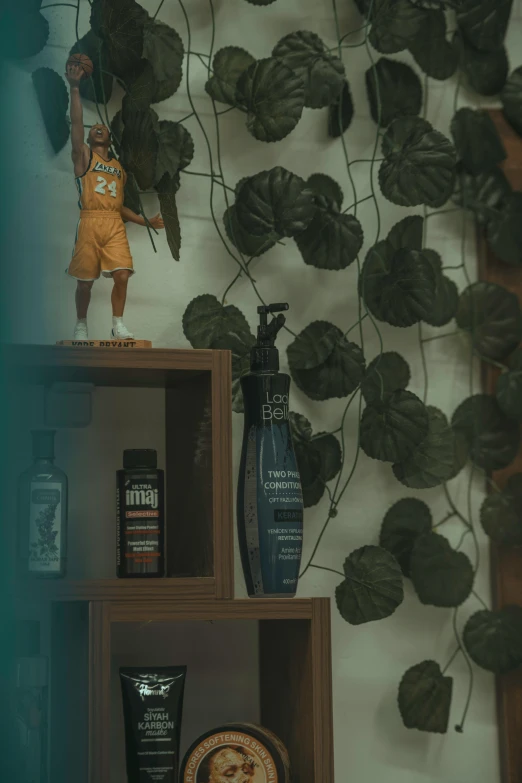 a shelf topped with body products on top of a wall