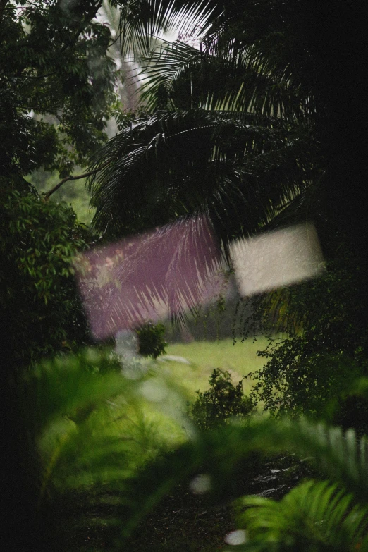 a landscape view of a park area with grass and trees