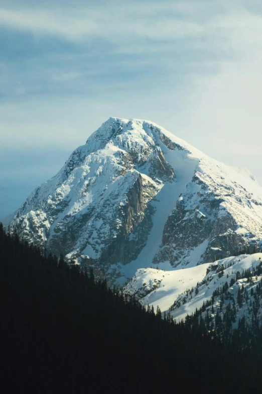 a large snowy mountain covered in lots of trees