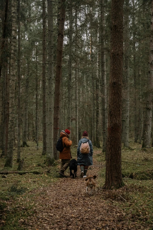 two people standing next to each other in the woods with their dogs