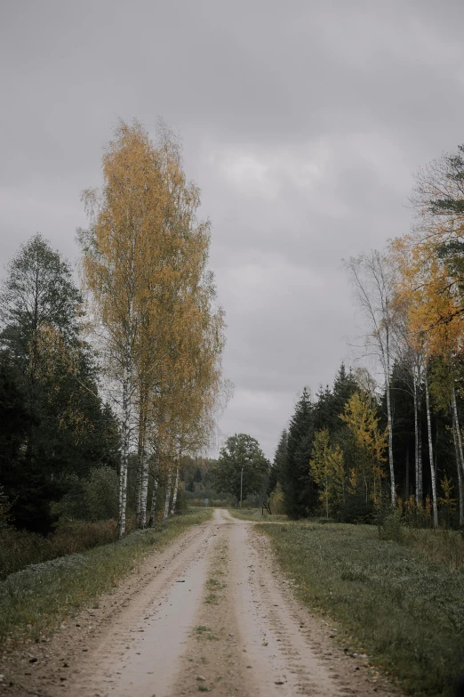 a dirt road in a small park on an overcast day