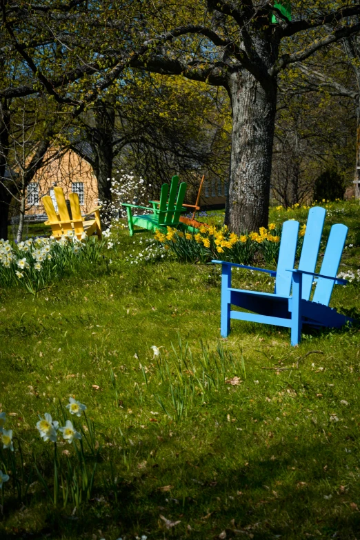 blue wooden chairs sitting on top of green grass