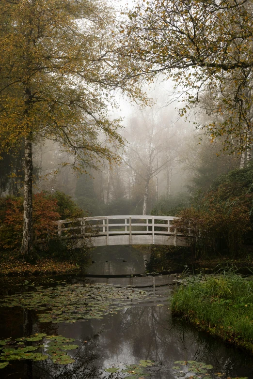 a white bridge surrounded by water and trees