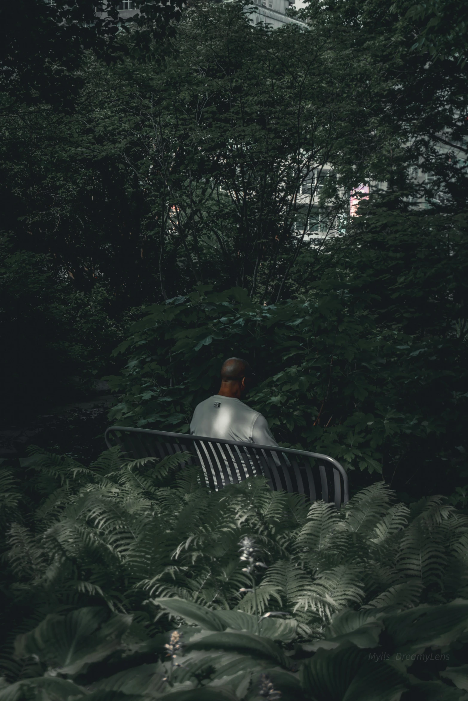 man in white jacket sitting on bench between trees