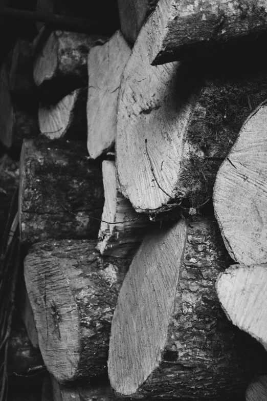 a pile of logs sitting next to each other