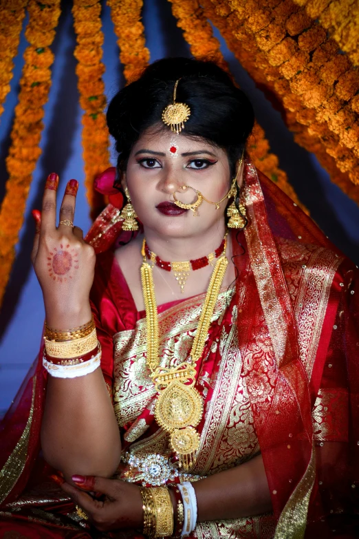 an image of woman in indian costume posing for the camera