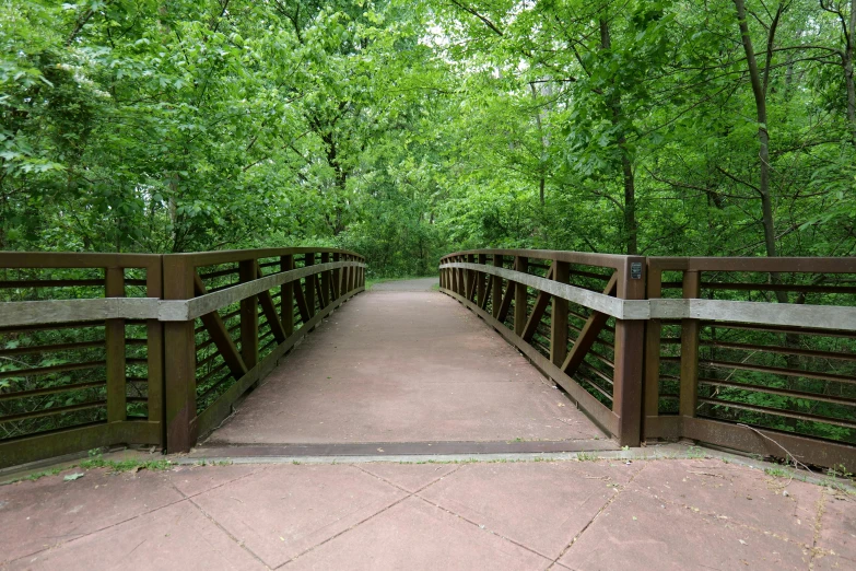 a wooden pathway through a park with trees