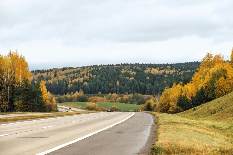 a view of a highway near some forest