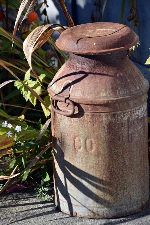 an old, rusted can has a flower in the background