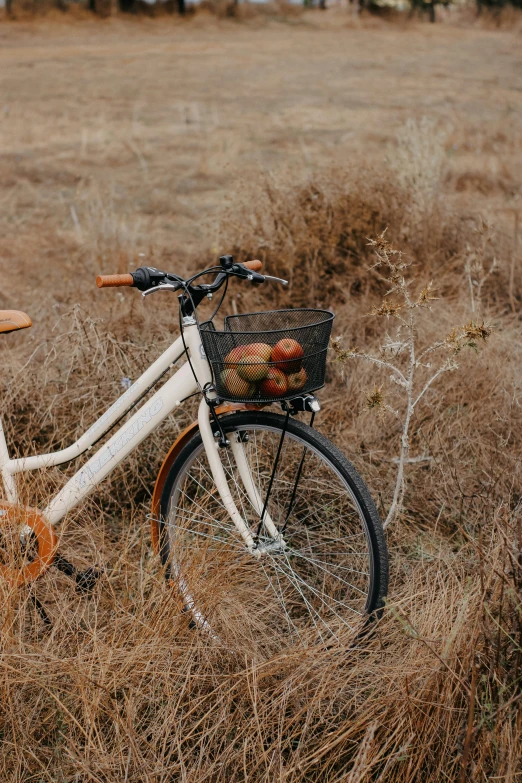 a bicycle is parked in a field with long grass