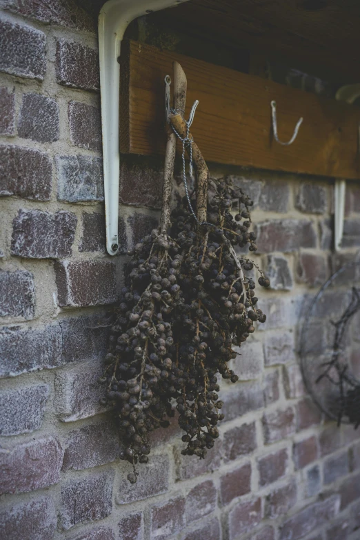 some gs hanging by some hooks on a wall