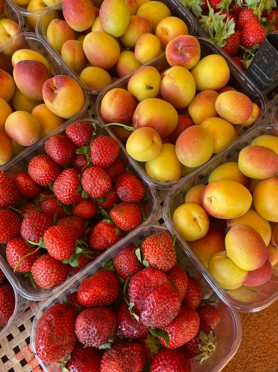 many containers with many different fruit in them