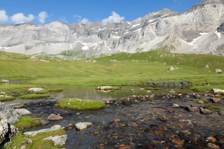 rocks and grass in the water at the base of a mountain