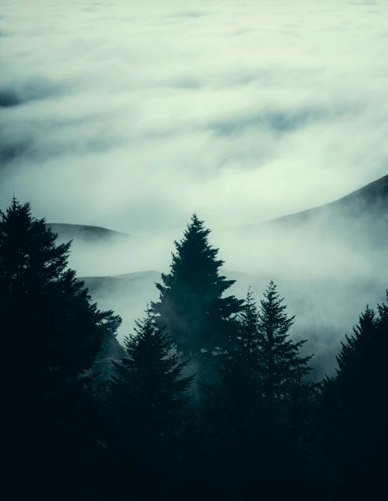 the view of a forest below the clouds