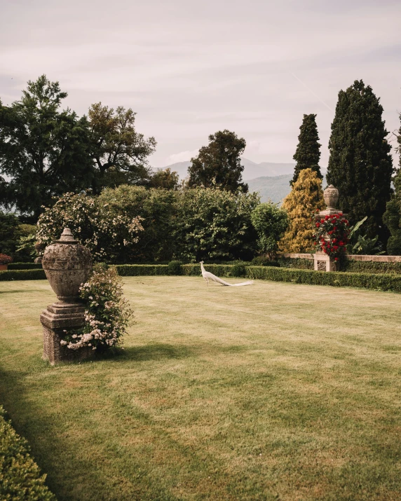 a small garden with a very pretty lawn