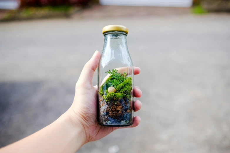 person's hand holding a glass bottle with moss and dirt inside