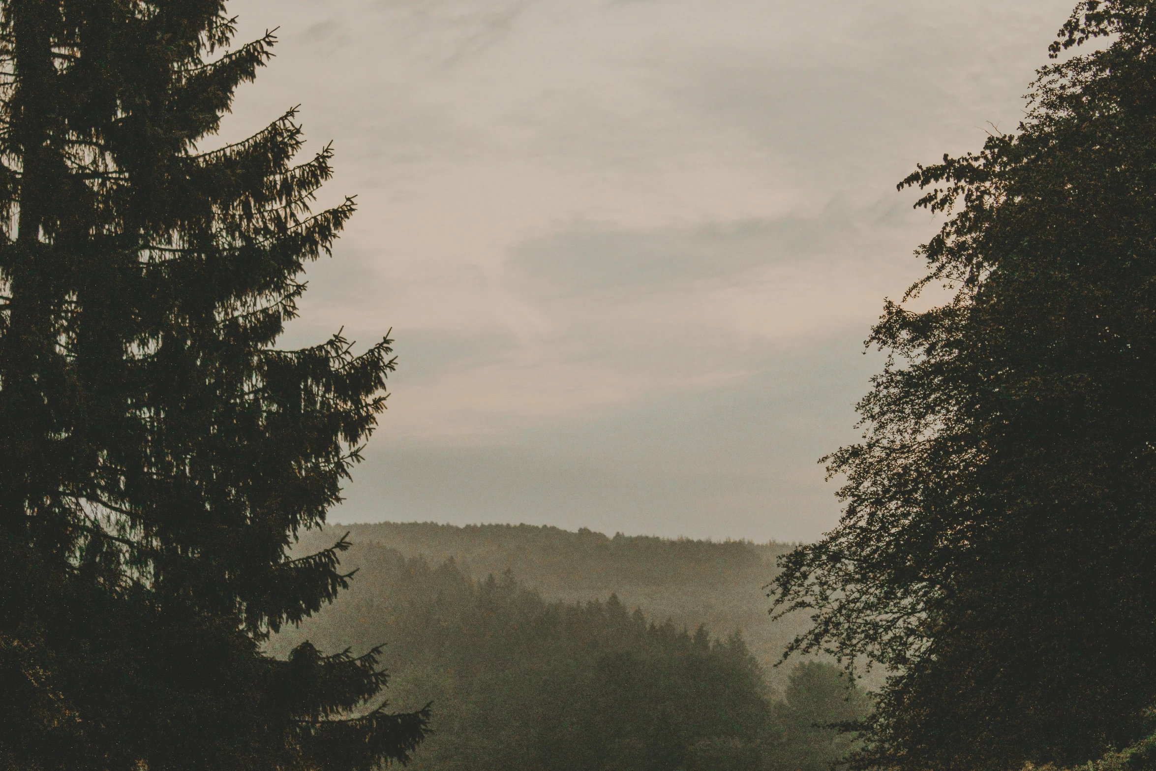 two people walking down a dirt road in the forest