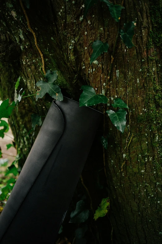 a tree in a forest is shown with a black cloth covering it