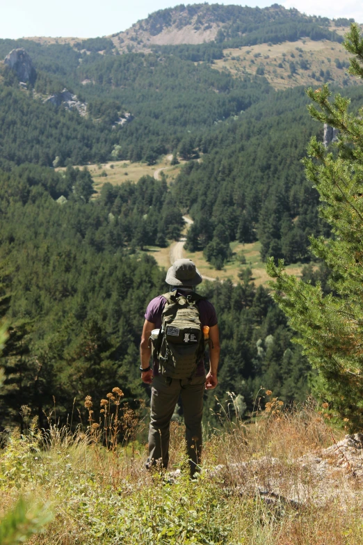 the man stands on top of the hill overlooking the valley