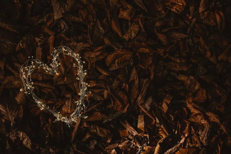 a heart shaped wreath sitting on top of wood chips