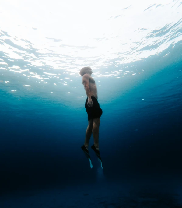 a woman in black swimming suit underneath the water