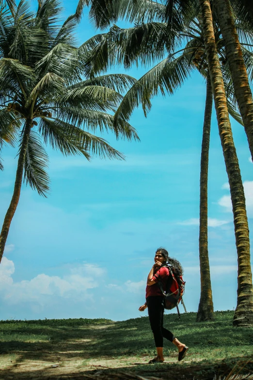 a person walking on a path with palm trees