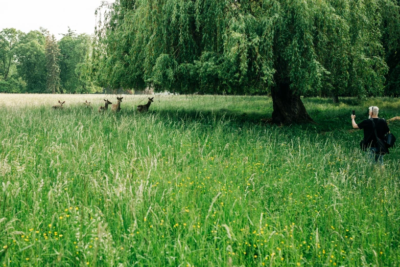 a woman standing on top of a lush green field