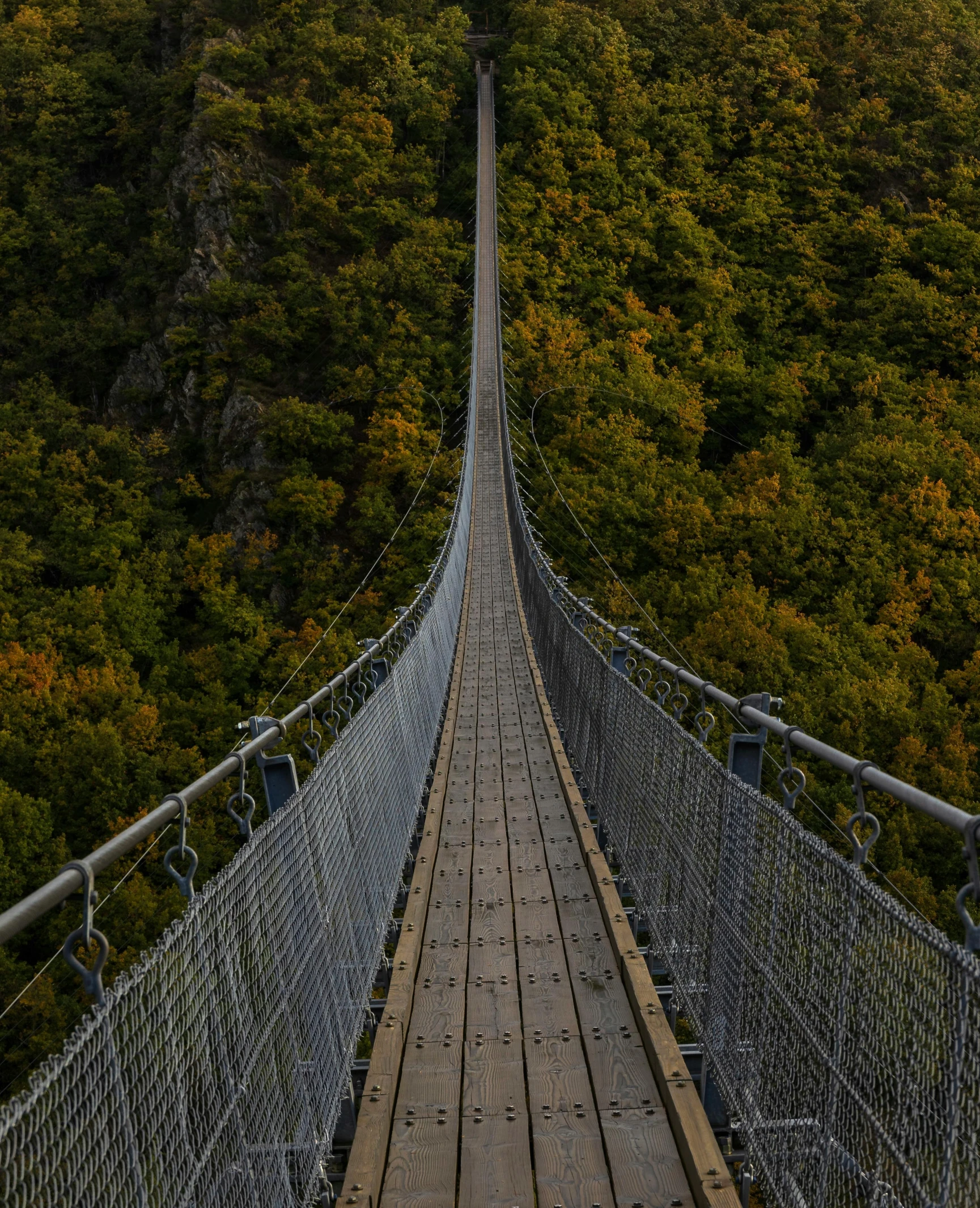 a wooden suspension bridge surrounded by trees