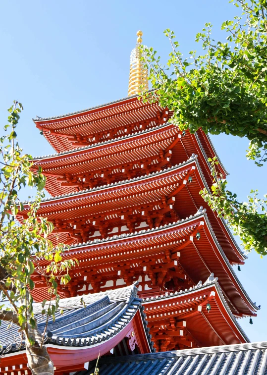 a chinese structure with trees growing by it