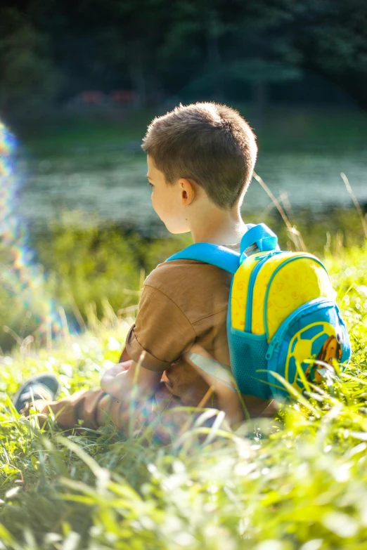 a  sitting in the grass with his back to the camera