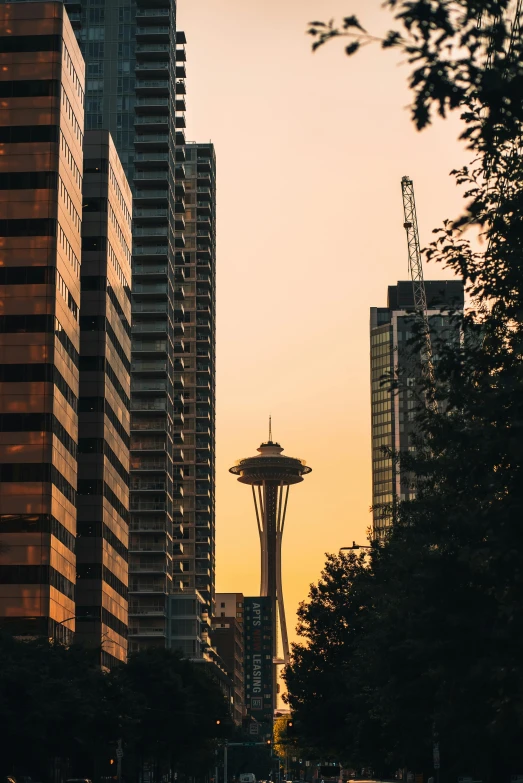 the space needle towering over downtown in seattle