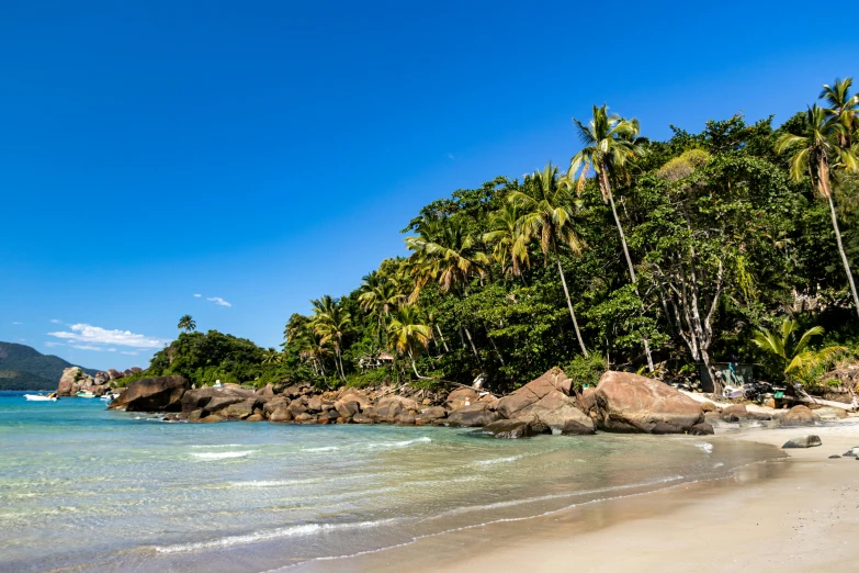 a beautiful beach is in front of palm trees and a rocky shoreline