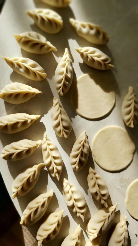 sliced ravioli shells arranged in rows on parchment paper