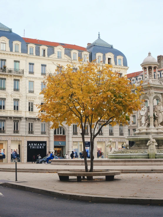 a tree in the middle of a plaza with a building in the background