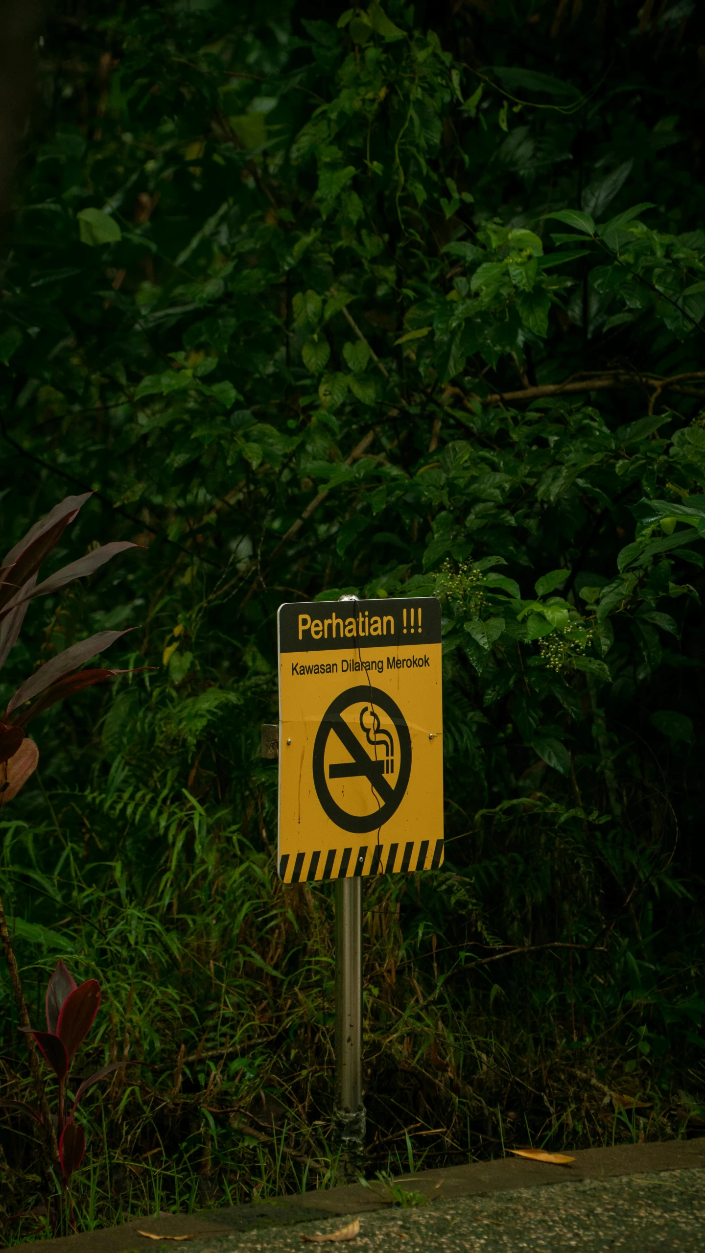 there is a no smoking sign on a pole