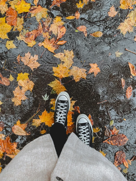 a person standing in front of some autumn leaves