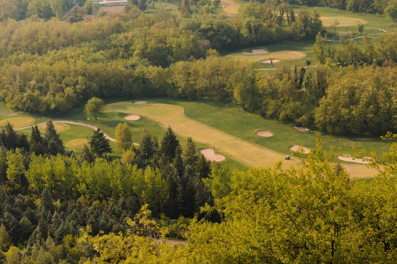 an area with trees and a golf course in the distance