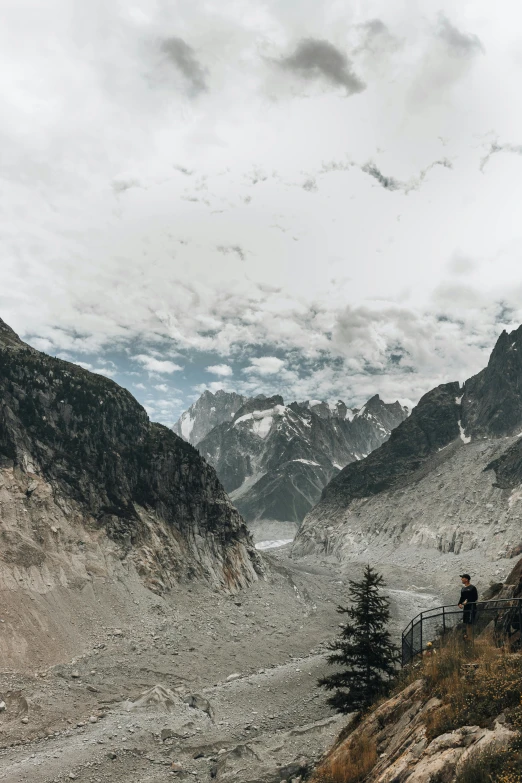 some rocks and plants are on the side of a mountain