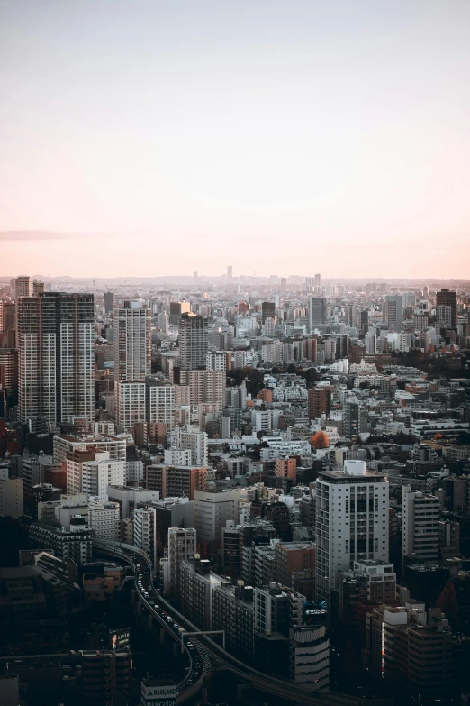 view from the top of building in large city