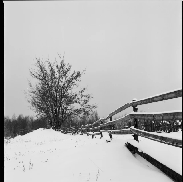 a lone tree sits in a snow covered landscape